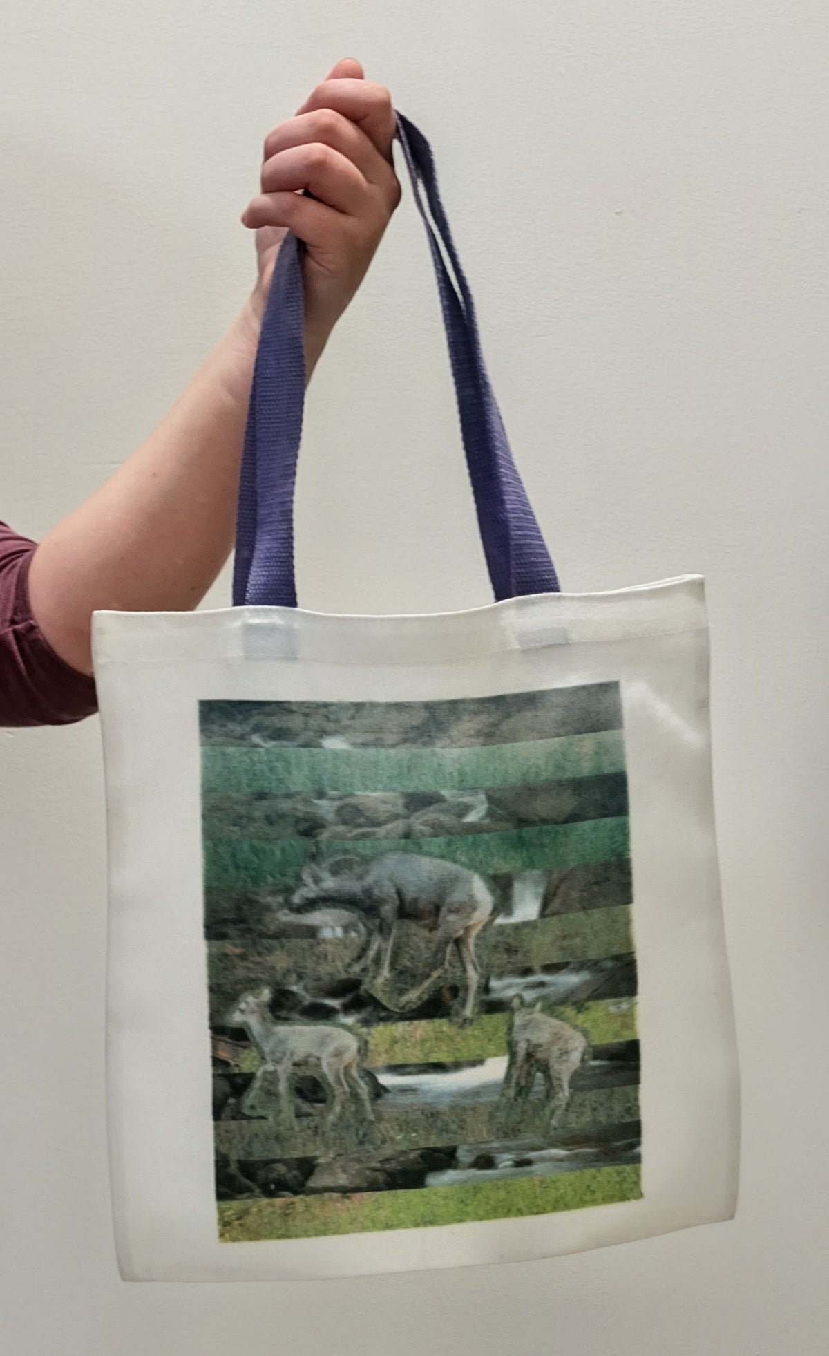 1 of 1 Original Sustainable Artwork Canvas Tote Bag - Mountain Lambs